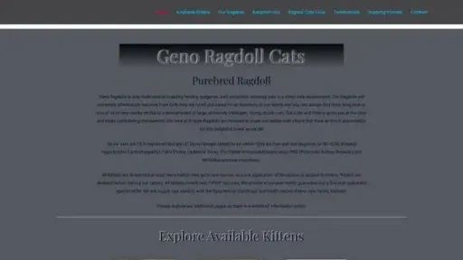 Screenshot of