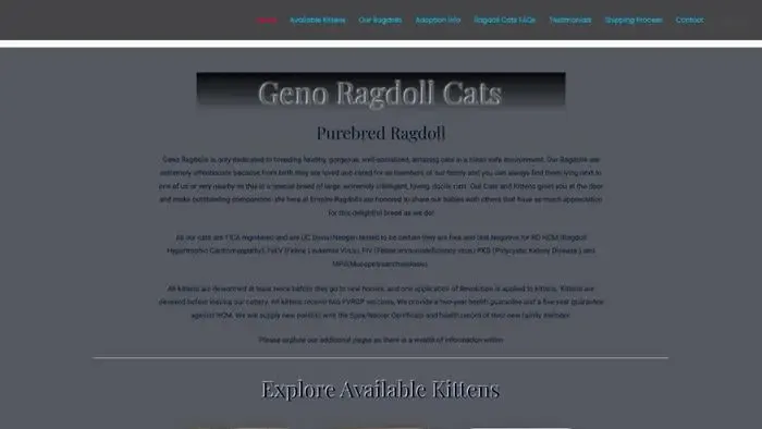 Screenshot of