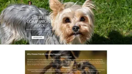 Screenshot of