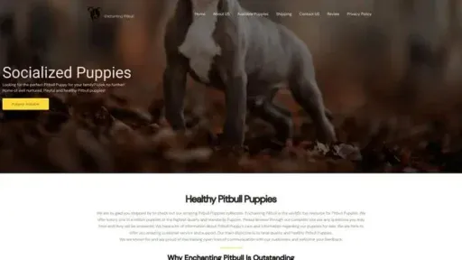 Screenshot of