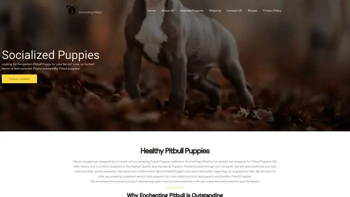Screenshot of