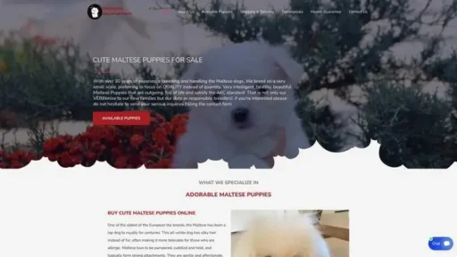 Screenshot of