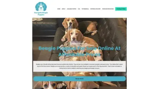 Screenshot of