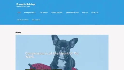 Screenshot of
