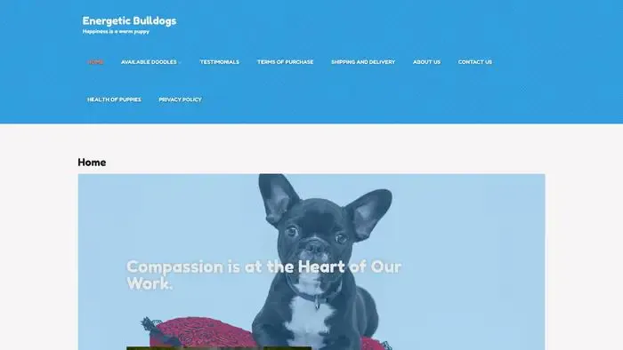 Screenshot of