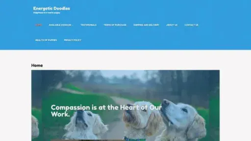 Screenshot of