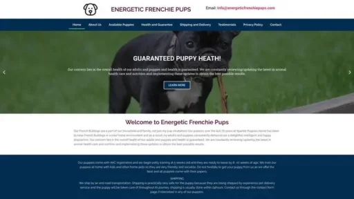 Screenshot of