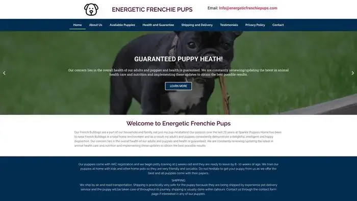 Screenshot of