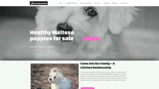 Screenshot of||