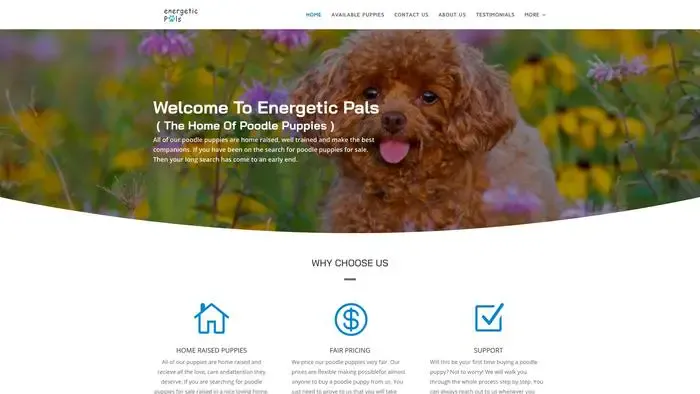 Screenshot of