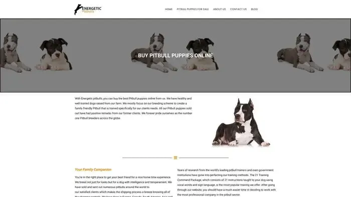 Screenshot of