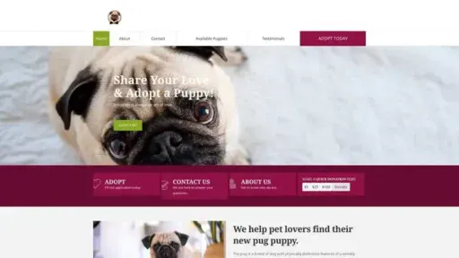 Screenshot of