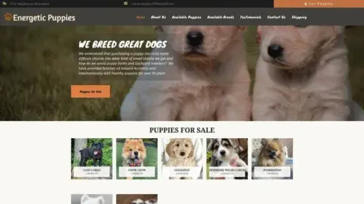 Screenshot of
