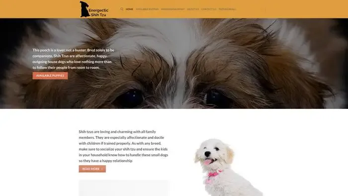 Screenshot of