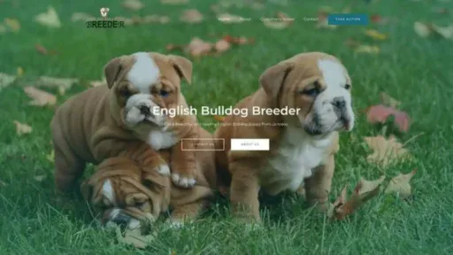 Screenshot of||