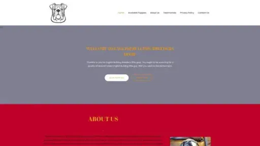 Screenshot of
