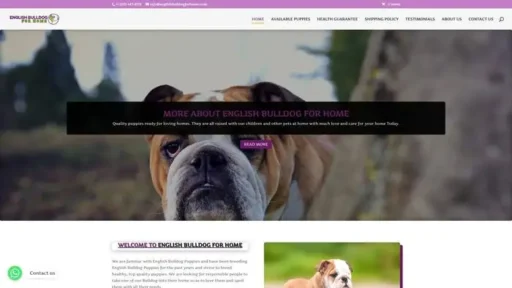 Screenshot of