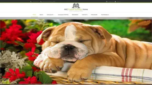 Screenshot of