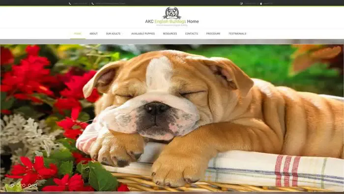 Screenshot of