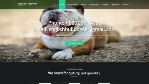 Screenshot of