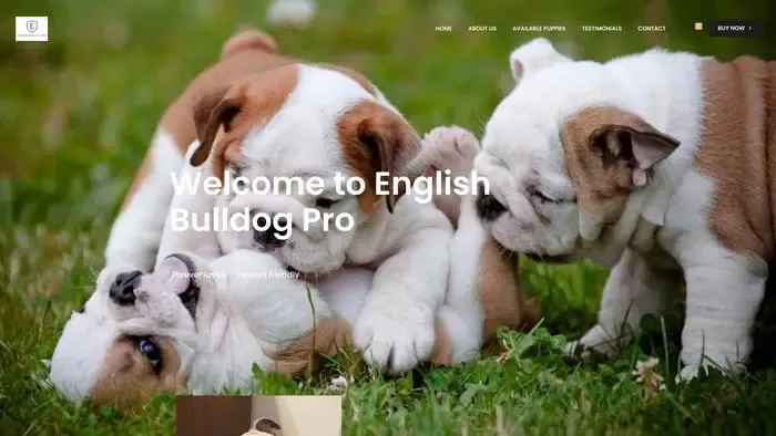 Screenshot of