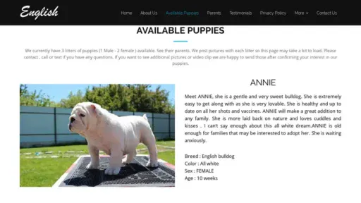 Screenshot of