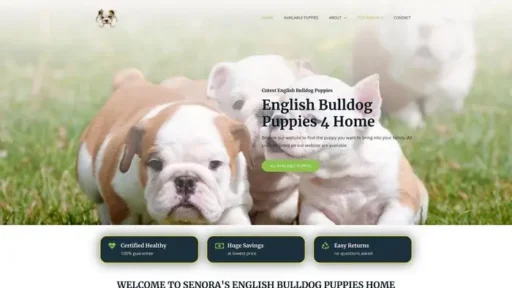 Screenshot of