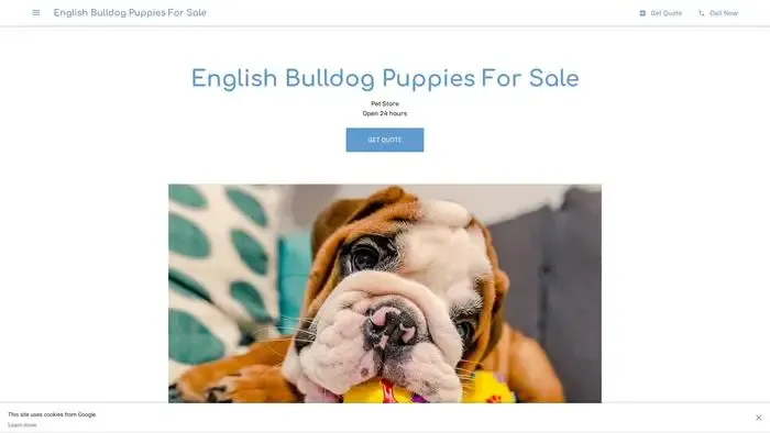 Screenshot of