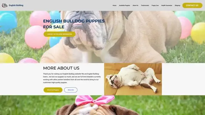 Screenshot of