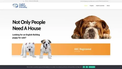 Screenshot of