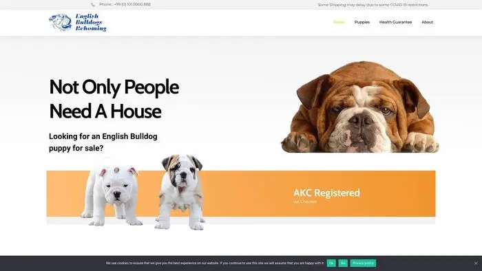 Screenshot of
