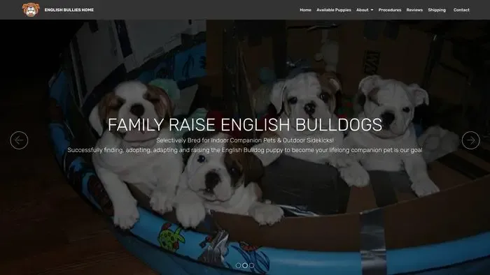 Screenshot of