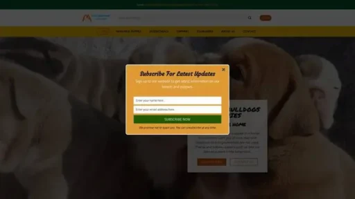 Screenshot of