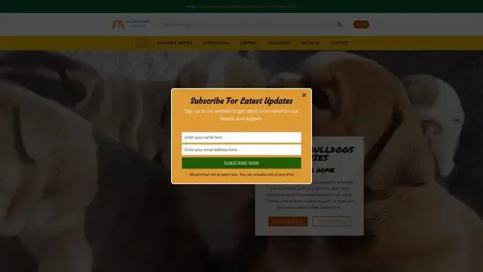 Screenshot of