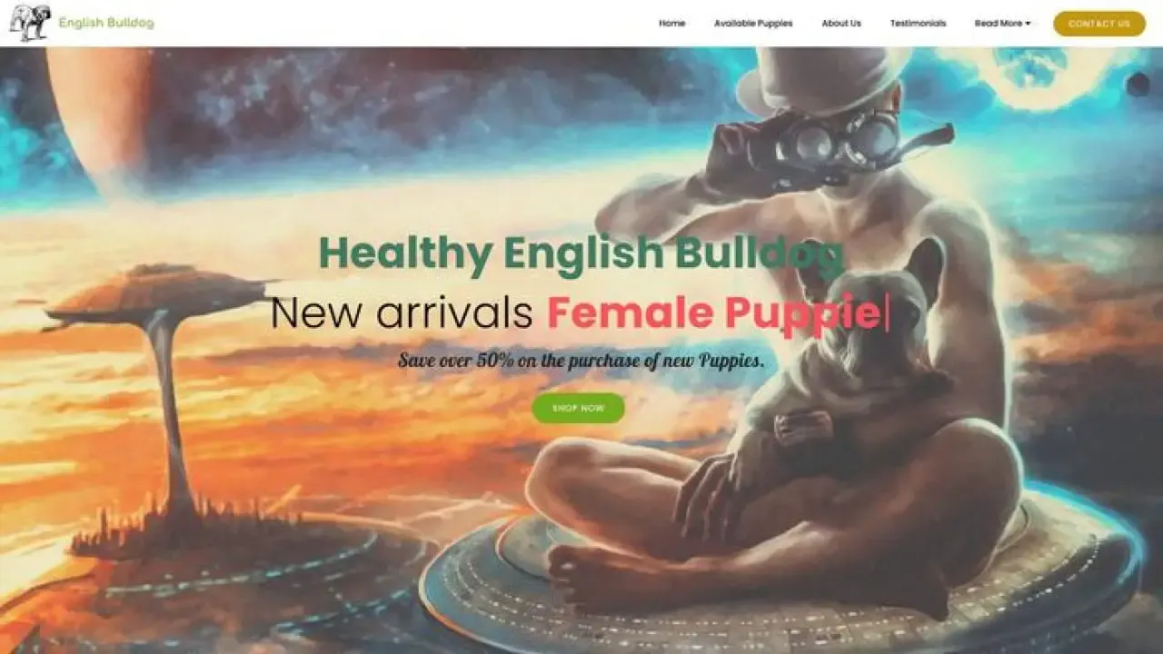 Screenshot of||
