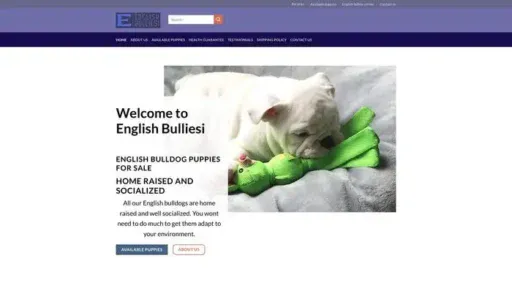 Screenshot of