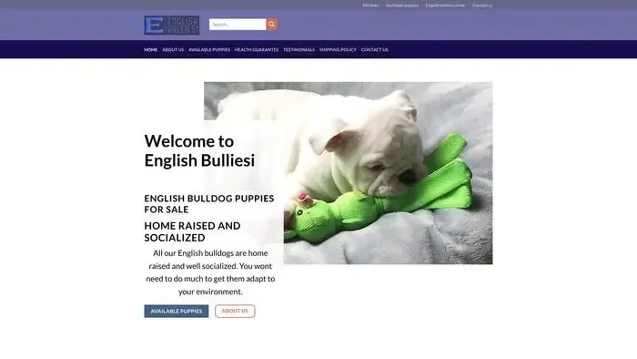 Screenshot of