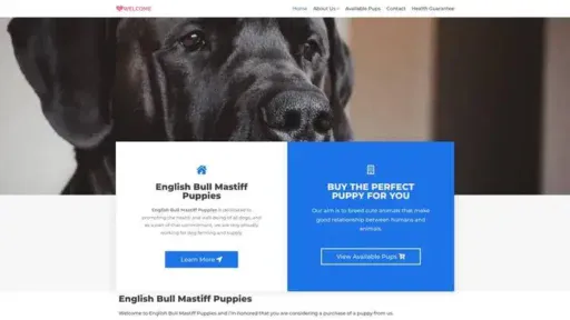 Screenshot of