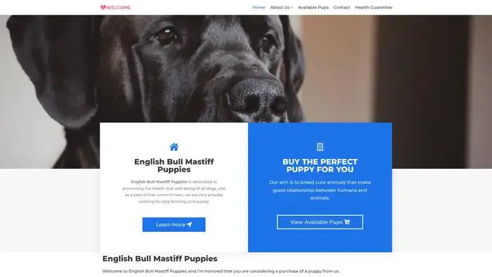 Screenshot of
