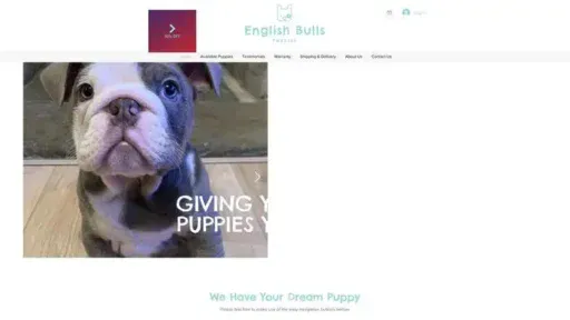 Screenshot of