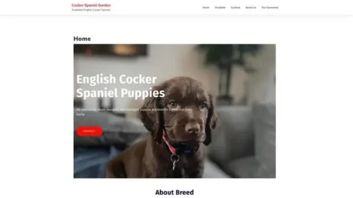 Screenshot of