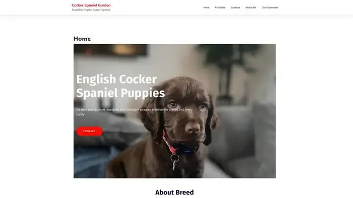 Screenshot of