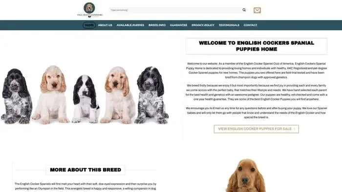 Screenshot of