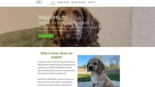 Screenshot of