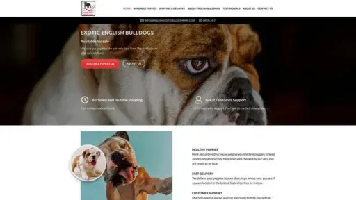 Screenshot of