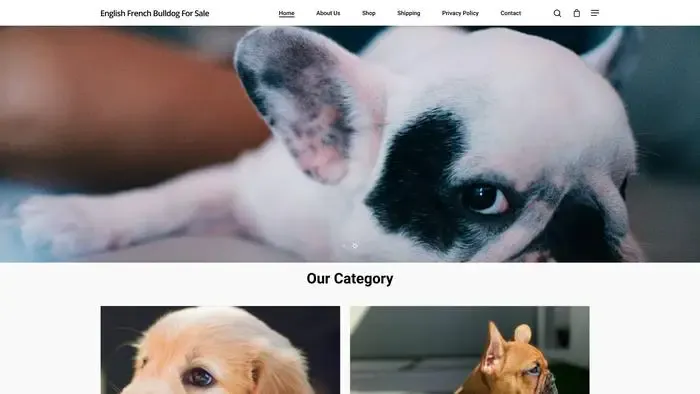 Screenshot of