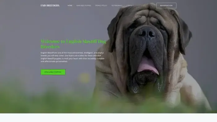 Screenshot of