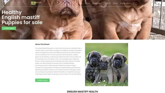 Screenshot of