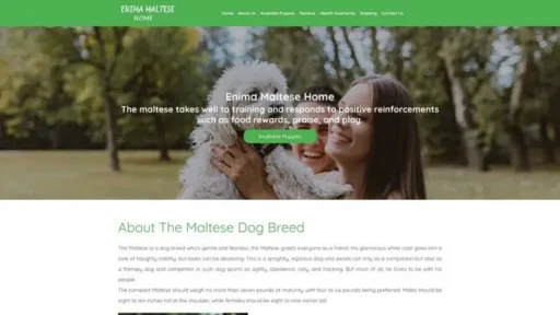 Screenshot of