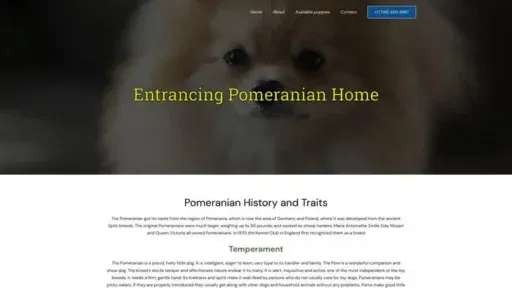 Screenshot of